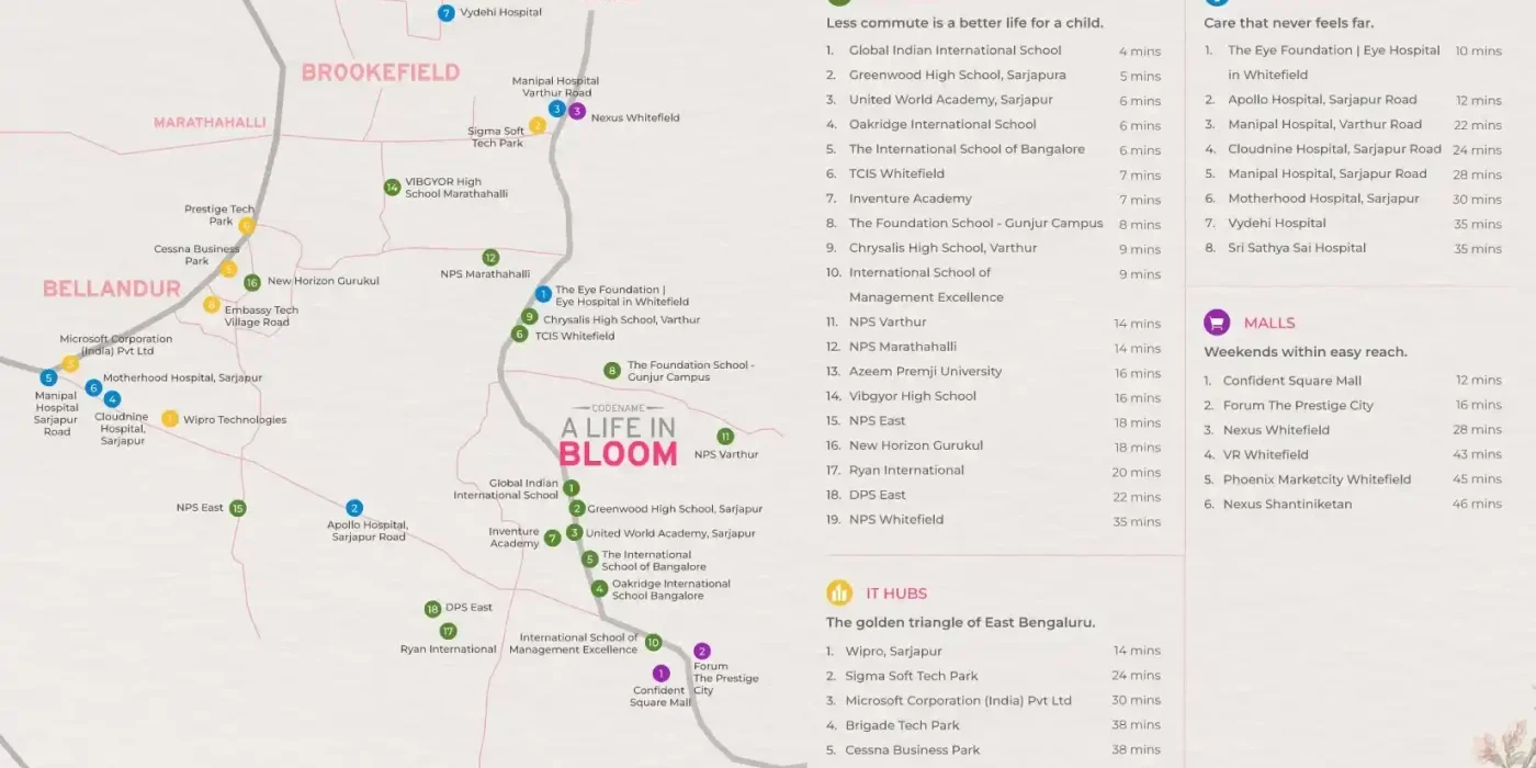 nvt codename a life in bloom location map